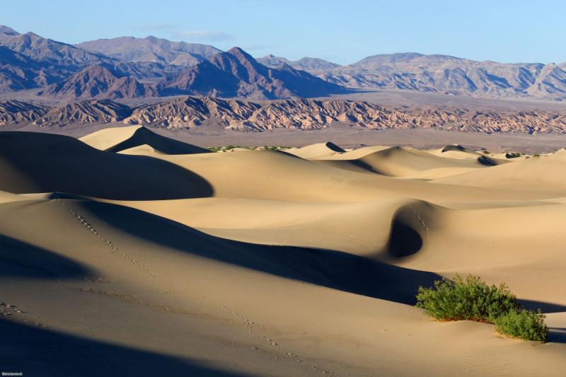 Mesquite Flat Sand Dunes dans le Parc National de Death Valley